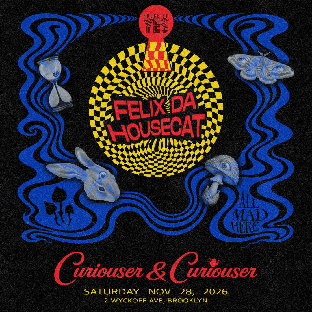 Curiouser & Curiouser: Felix Da Housecat at House of Yes, New York