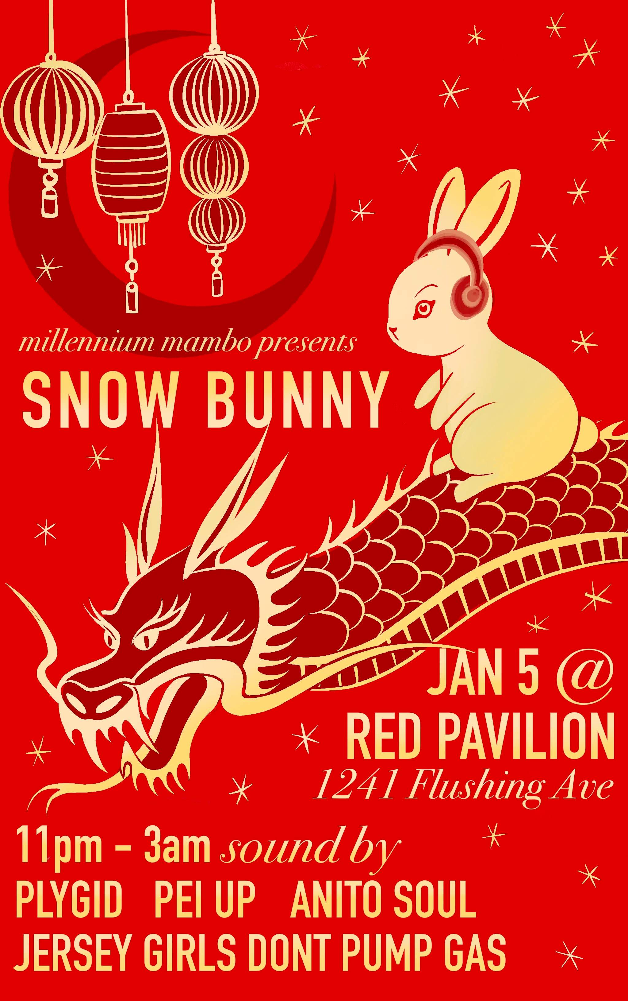 Snow Bunny Meaning - x3x6ik1