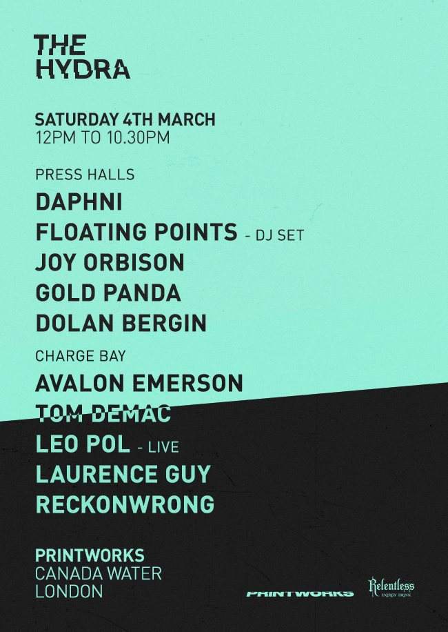 The Hydra presents Daphni, Floating Points (DJ set), Joy Orbison, Gold Panda and More - フライヤー表