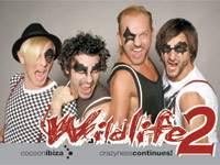 Cocoon announces more Ibiza craziness with Wildlife 2 image