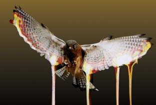 DJ CRAZE❗️ DJ Craze B-Day bash session 2k20 - YouTube