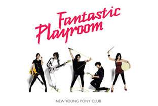The fantastic playroom of New Young Pony Club image