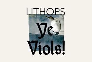 Lithops says Ye Viols! image