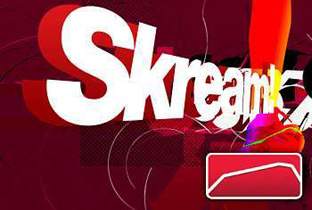 Skream releases 30 minute track image