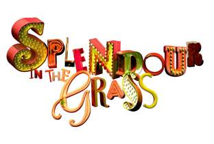 Splendour in the Grass lineup announced image