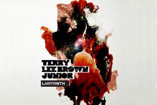 Terry Lee Brown Junior enters the Labyrinth image