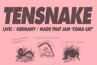 Tensnake locks in Australian club dates image