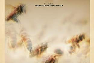 Brian McBride soundtracks the Vanishing of the Bees image