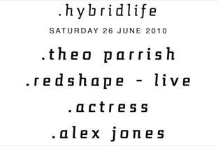 Hybrid Life host Theo Parrish image