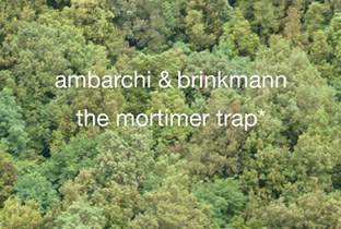 Thomas Brinkmann and Oren Ambarchi set The Mortimer Trap image