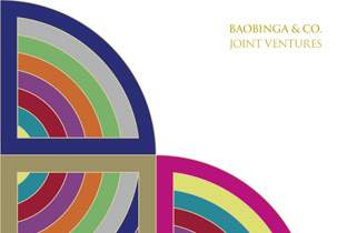 Baobinga & Co present Joint Ventures image