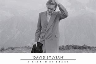 David Sylvian is a Victim of Stars image