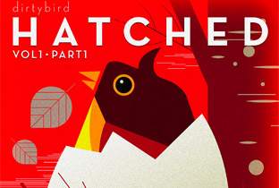 Dirtybirdからコンピレーション『Hatched』がリリース image