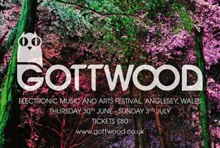 Jamie XX billed for Gottwood 2011 image