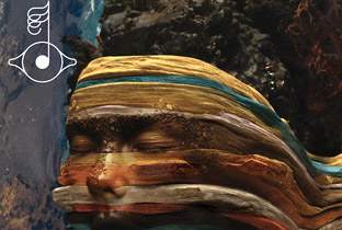 Björk compiles Biophilia remix album image