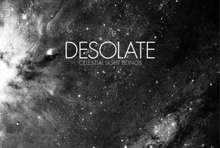 Sven Weisemann readies new album as Desolate image