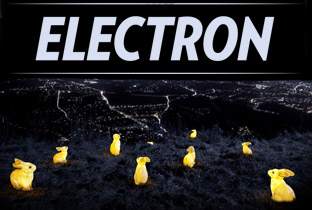 Electrone Festivalが2012年のプログラムを発表 image