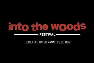 Dominik Eulberg and DJ Shadow get Into The Woods image