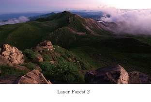 コンピレーション・アルバム『Layer Forest 2』が、AYより発表 image