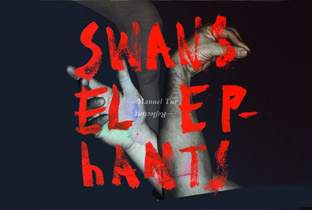 Manuel Tur raises Swans Reflecting Elephants image