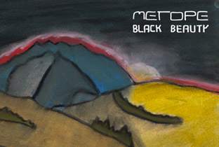 Metope preps Black Beauty image
