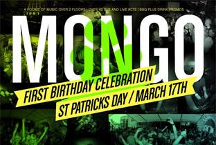Mongo turns 1 on St. Patrick's Day image