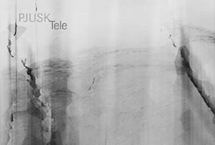 Pjuskが『Tele』を発表 image