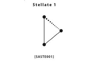 レーベルStroboscopic Artefactsが『Stellate』を発表 image