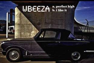 Wbeeza launches PFlymusic image