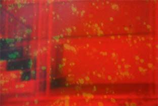 Nicholas Bullen announces debut album, Component Fixations image
