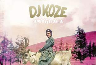 DJ Koze returns with Amygdala image