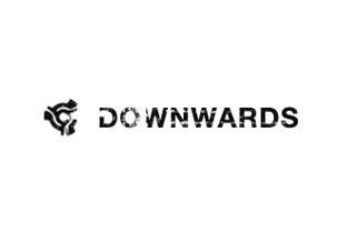 Downwards launches Downwards America image
