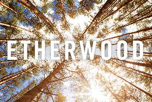 Etherwood debuts on Med School image