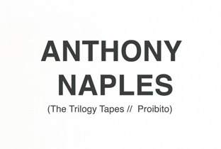 Anthony Naples tours Europe image