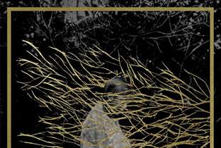 Forest Swords presents Engravings image