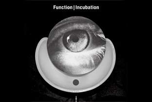 Function reveals debut album, Incubation image