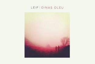 Leif announces debut album, Dinas Oleu image