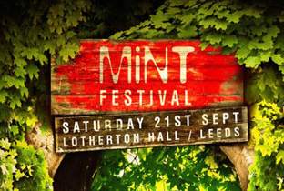 Mint festival reveals 2013 lineup image