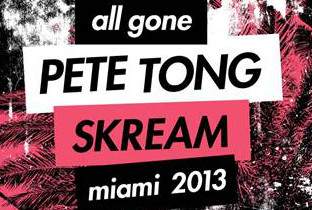 Skream steps up for All Gone Miami 2013 image