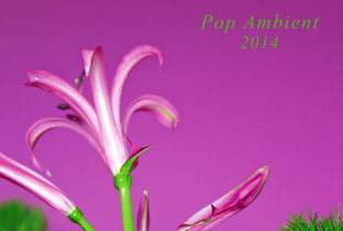 Kompakt announce Pop Ambient 2014 image