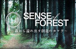 野外パーティー Sense of Forestが開催へ image