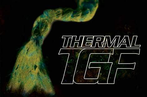 Teengirl Fantasy get Thermal on new EP image