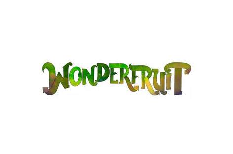 Wonderfruit adds more names to 2014 lineup image