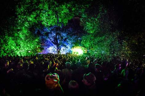 The Zoo Project Festival reveals 2014 lineup image
