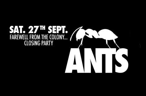 Deetron to play ANTS closing image