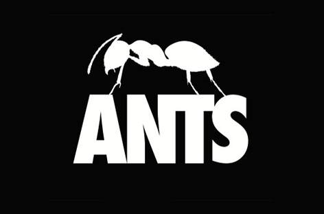 ANTS prepares for second summer at Ushuaia Ibiza image