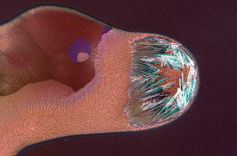 Answer Code Request to release debut album, Code · News RA