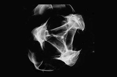 Perseus Traxx starts Cymatic Response image