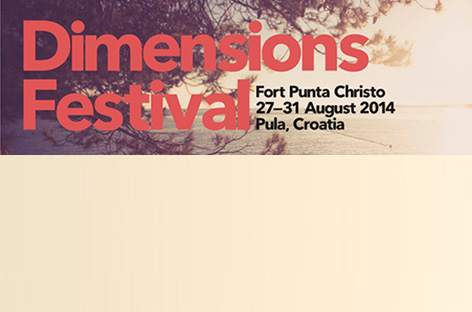 Theo Parrish to play live at Dimensions 2014 image