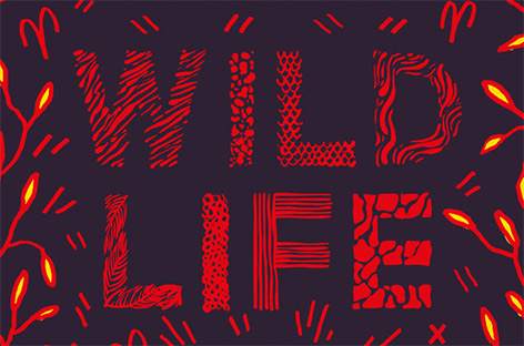 Disclosure announce Wild Life series image